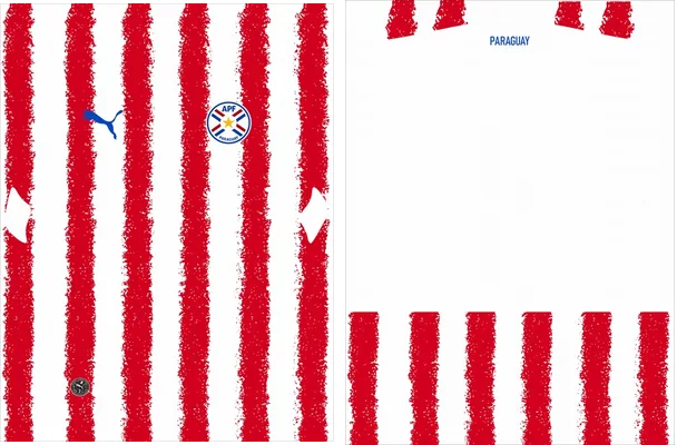 Paraguay Home Kit 2026