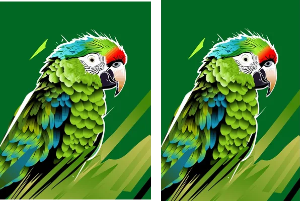 Parrot Designs Concept