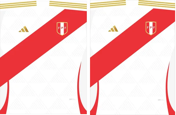 Peru Home COPA AMERICA 24 PRO