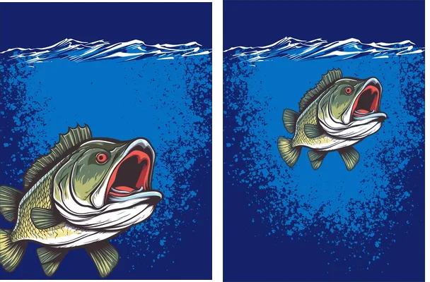 Pesca Concept 2023 Q 3