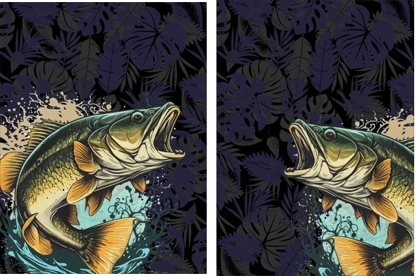 Pesca Concept 2024 Q 1