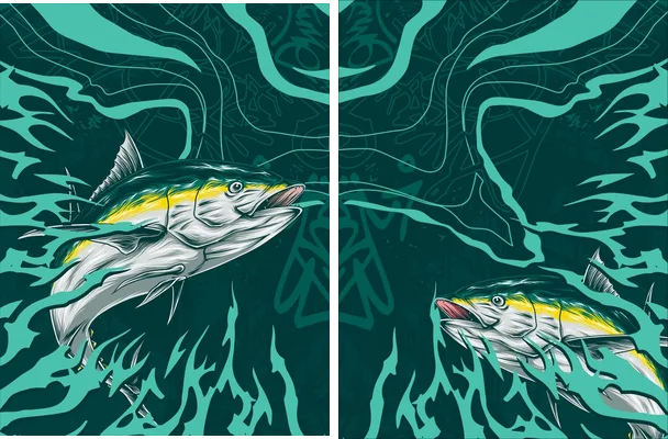 Pesca Concept 2024 Q 2
