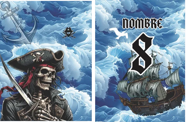 Pirata Interclasse VS24 Q 1