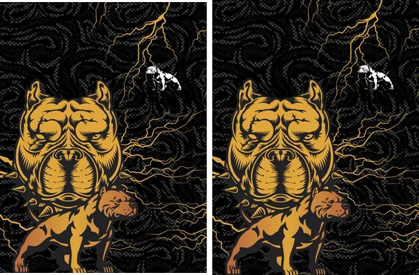 Pitbull Sports Design