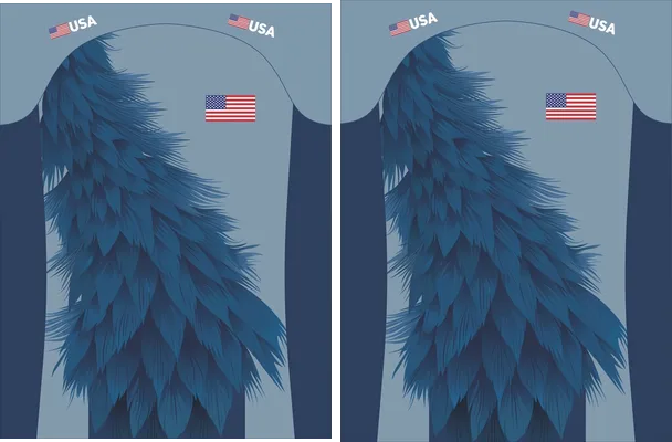 Plumas Azules Estados Unidos Design