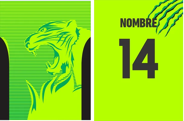 Puma Verde Design Q 1