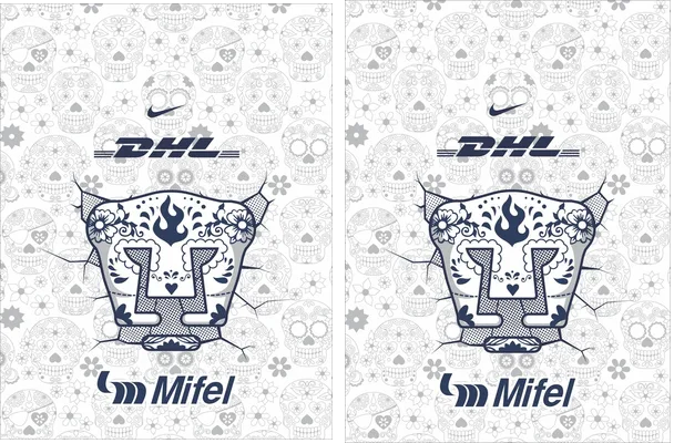 Pumas Concept 2025 Q 1
