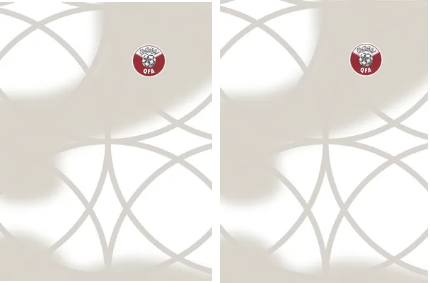 QATAR 22 WORLD CUP HOME