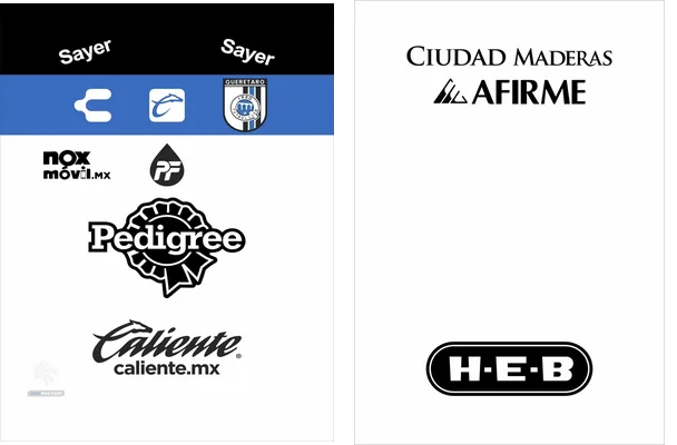 Queretaro Local 2023 2024