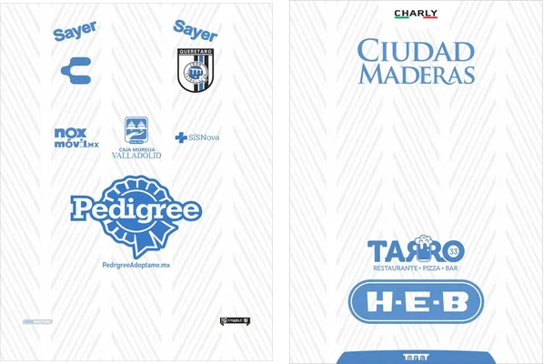 Queretaro Visita 2021 2022
