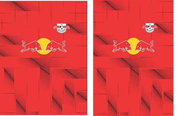 RB LEIPZIG 003