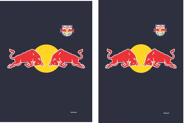RED BULL NEW YORK 2016