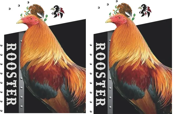 ROOSTER DESIGN MEXICO
