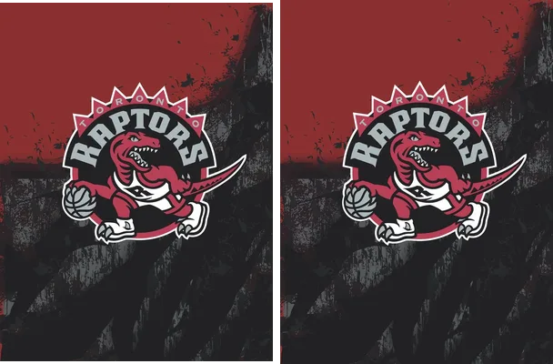 Raptors Jersey