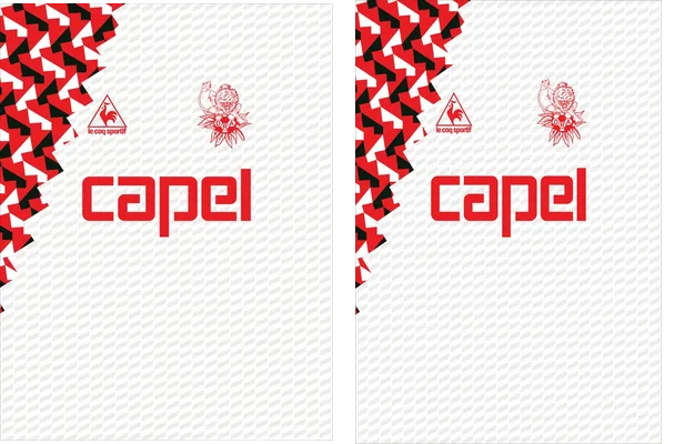 Regional Atacama 1994 1995 Home