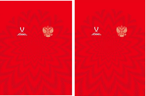 Rusia Home Kit 24 PRO