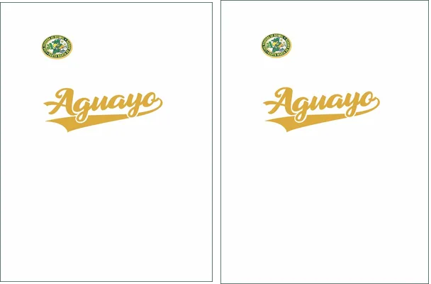 SANTA MARIA DE AGUAYO 2024