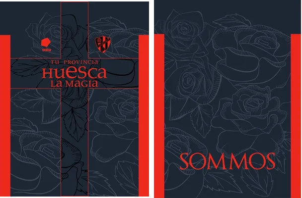 SD HUESCA 2024 2025 TERCERA