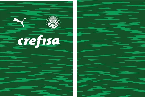 SE Palmeiras concept