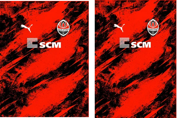 SHAKHTAR DONETSK CONCEPT