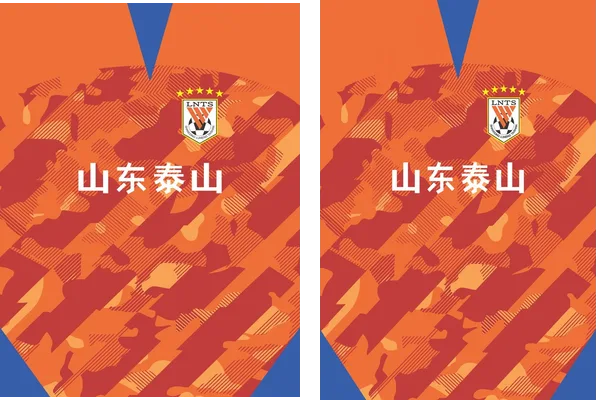 SHANDONG 22 HOME KIT