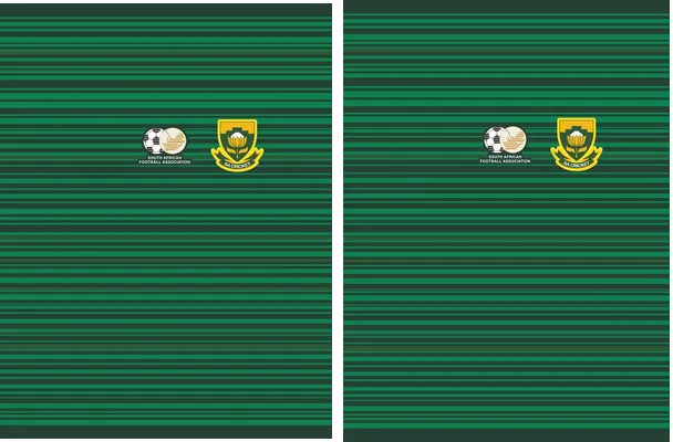 SUDAFRICA 2018