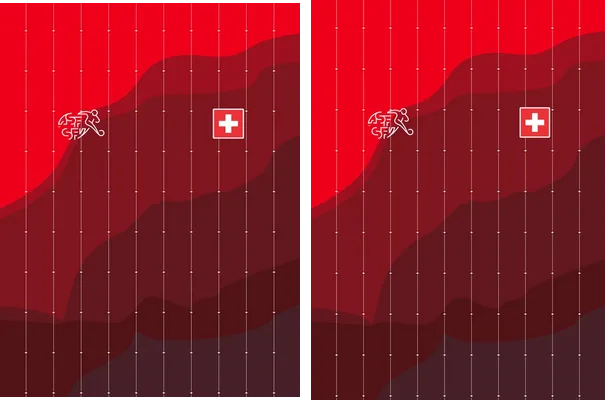 SUIZA LOCAL 2023 2024