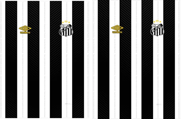 Santos FC Local 2024