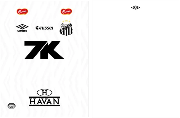 Santos FC Local 2025