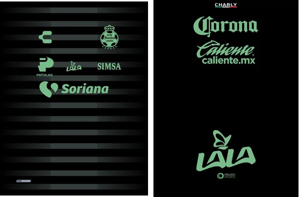 Santos Laguna Visita 2023 2024