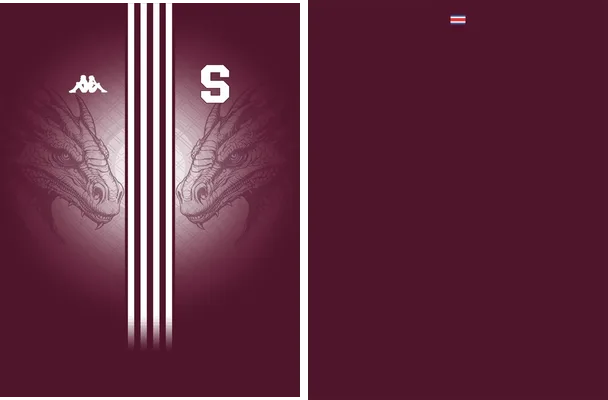 Saprissa Concept 2024 Q 4