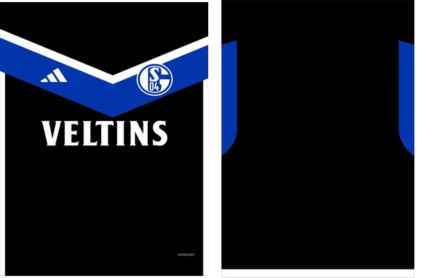 Schalke 04 Alternativa 2023 2024