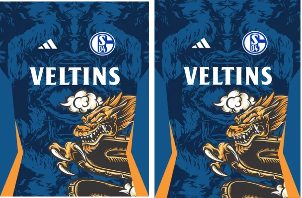 Schalke 04 Concept 24