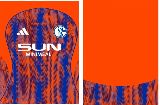 Schalke 04 Third Kit 25 26