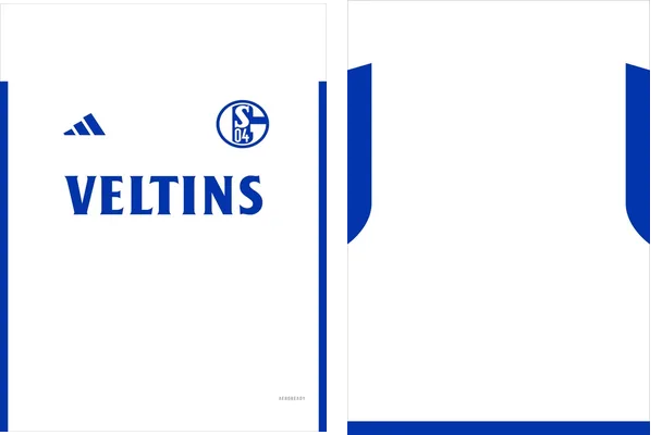 Schalke 04 Visita 2023 2024