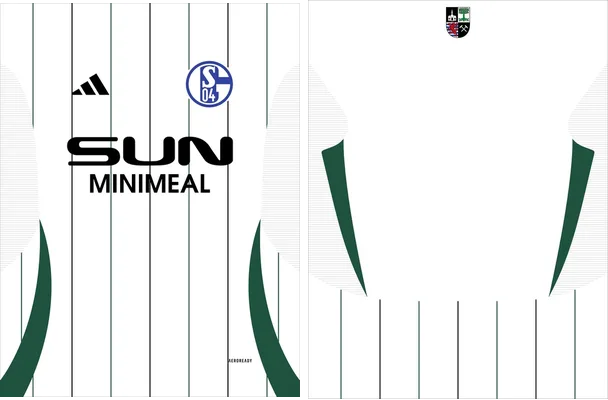 Schalke 04 Visita 2024 2025