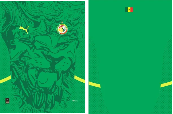 Senegal Away Kit 24 25 Q 1