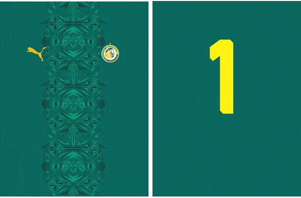 Senegal Away Kit World Cup 26