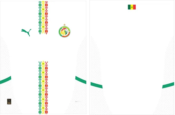 Senegal Home Kit 24 25 Q 1