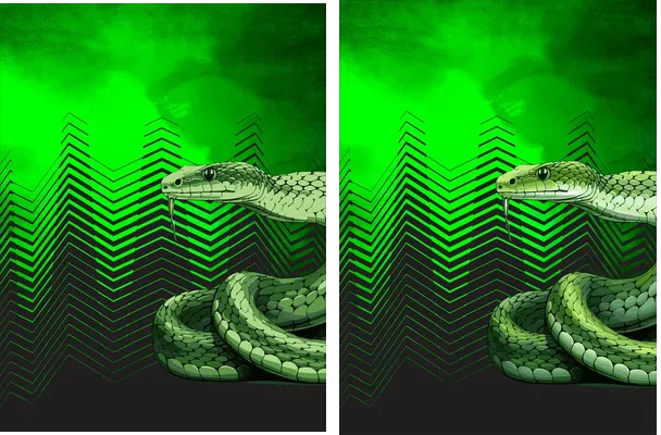 Snake Black y Green Fluor