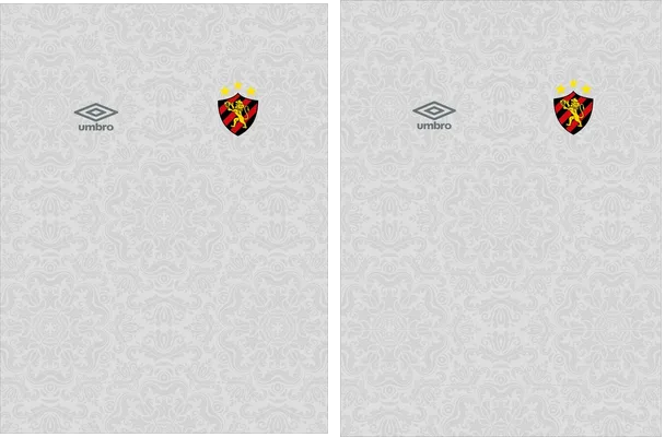Sport Club Recife Concept 24