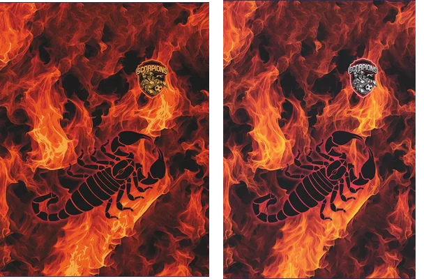 Sports Fire