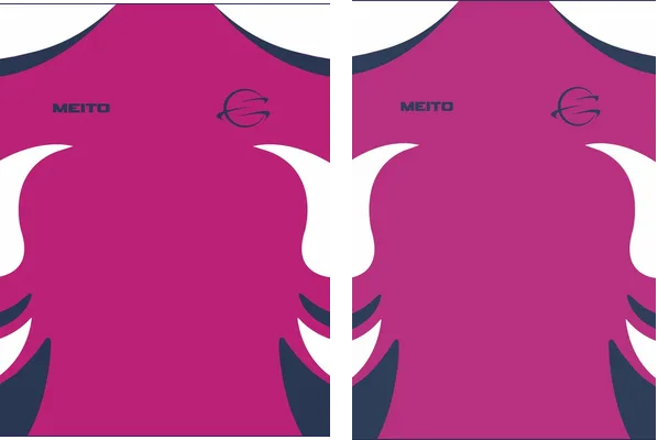 Sports Jersey