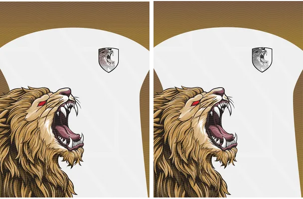Sports Pattern Design Leon