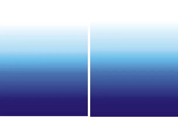 Sports Patterns Gradient Snake