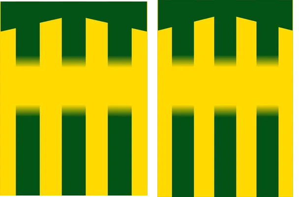Sports Yellow Green