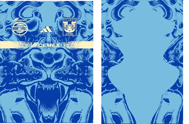 Sunderland Away Kit 25 26 Q 1