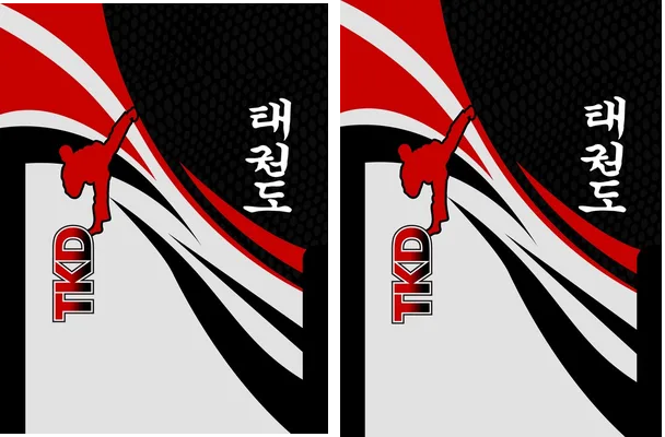 TAEKWONDO VECTOR CONCEPT