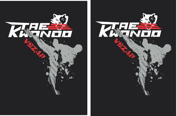 TAEKWONDO VSZAP OFICIAL