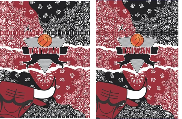 TAIWAN CHICAGO BULLS CONCEPT